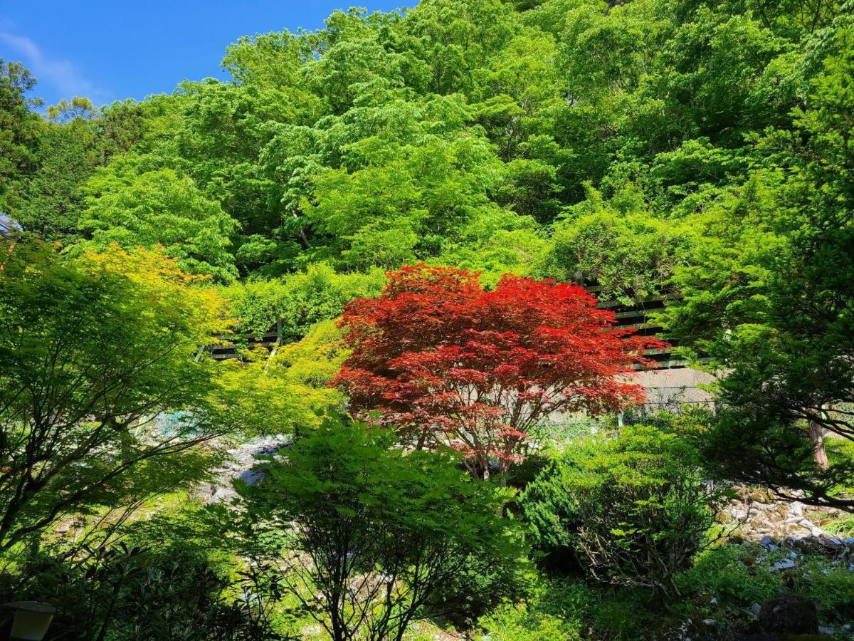 Ichimaru Ryokan - Vacation Stay 77851V Tenkawa Buitenkant foto