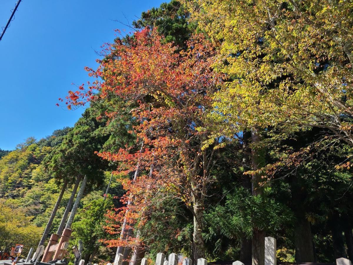 Ichimaru Ryokan - Vacation Stay 77851V Tenkawa Buitenkant foto